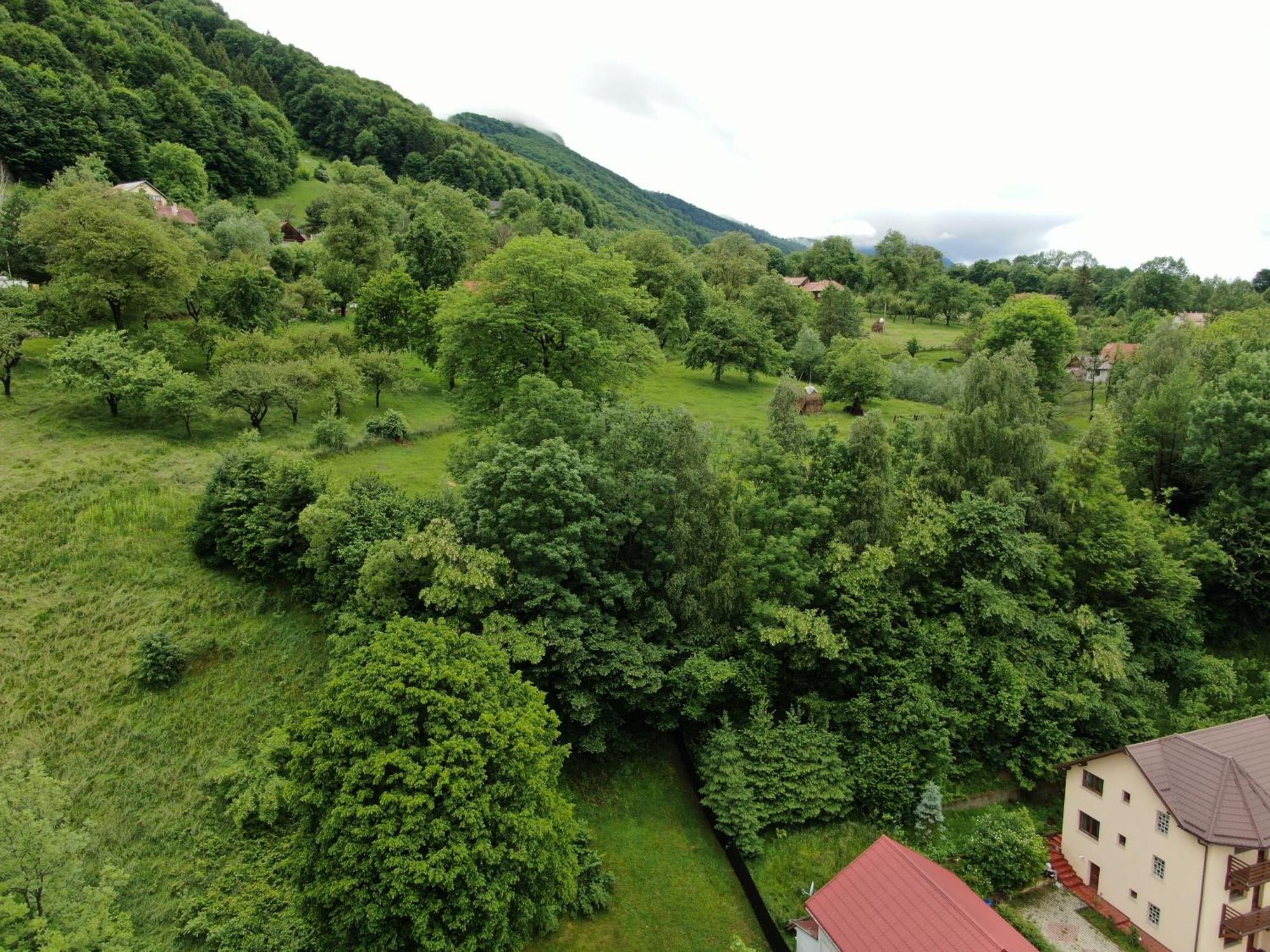 Casa Julia Bran (Brasov) Exterior foto